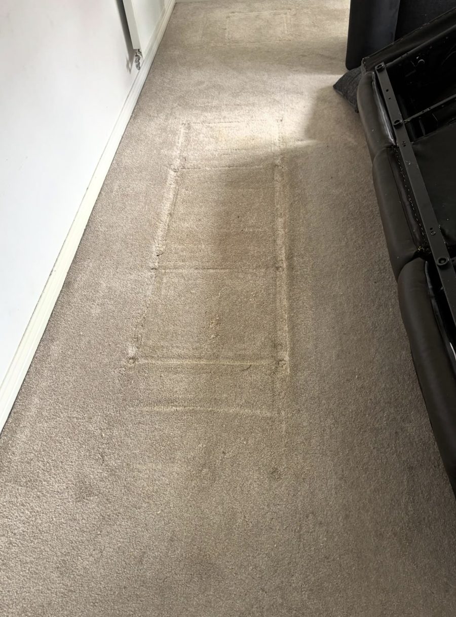 Carpet after cleaning