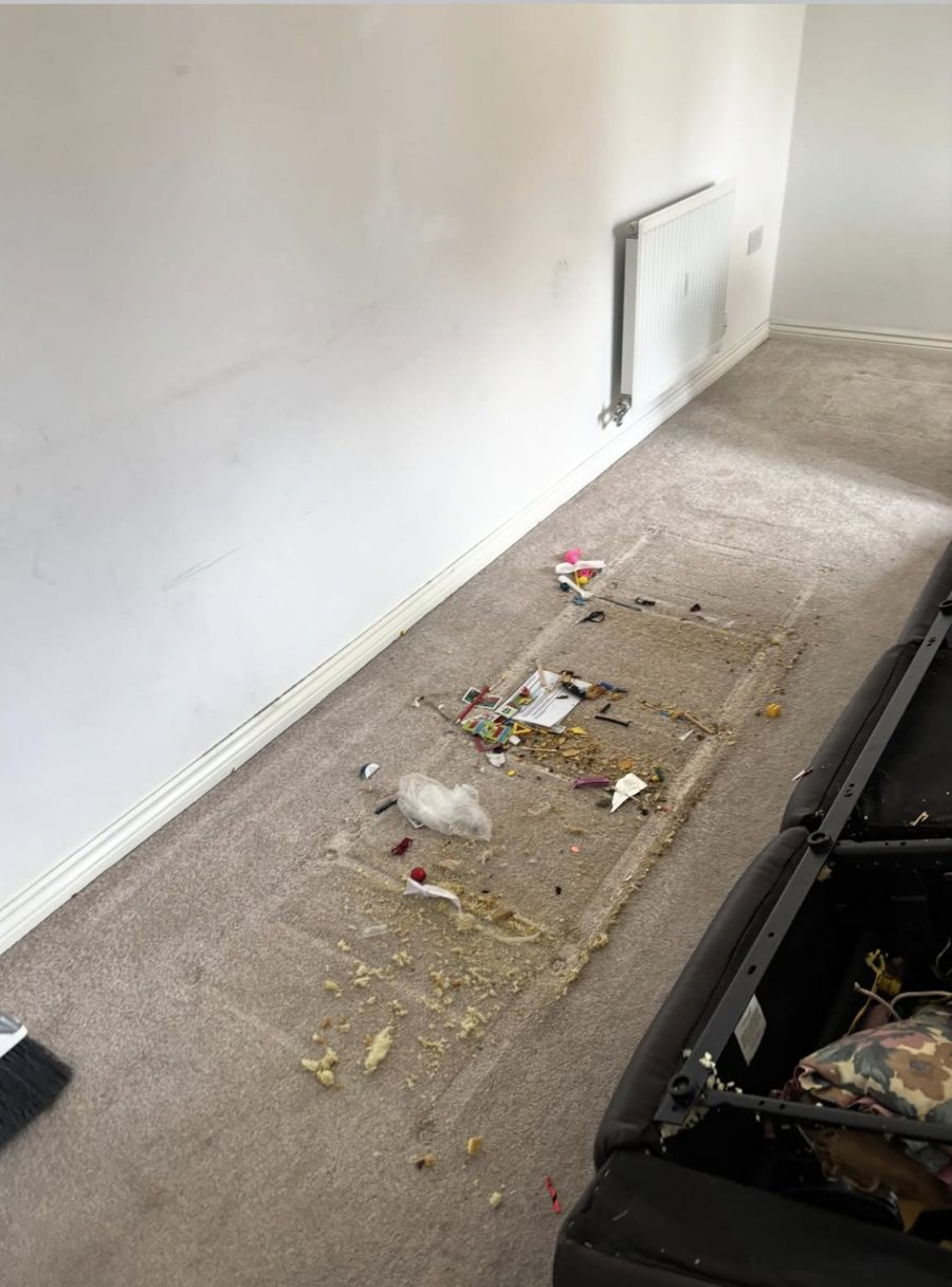 Carpet before cleaning
